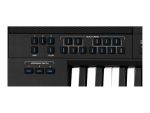 MEDELI DANTE -ZEN Arranger Pro Series digital workstation - Image 4